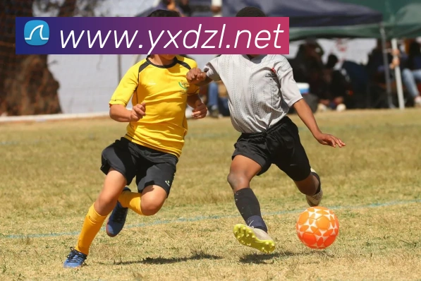 尊龙凯时平台生态图